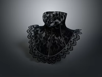 Elegant Black Lace Collar With Intricate Floral Pattern And Detailed Edges 3d model