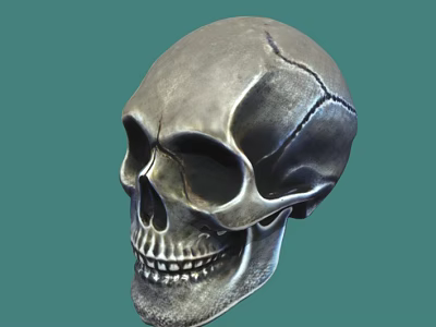 Realistic Detailed Silver Gray Human Skull With Crack On Green Background 3d model