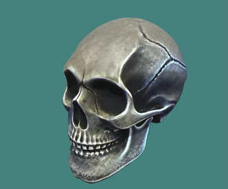 Skull Bone Human Head Human Skull Skeleton 3d model