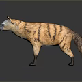 Realistic Striped Hyena 3D Model in Standing Pose on Neutral Background 3d model