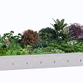 Various Types Of Shrubs With Mixed Greenery In Concrete Planter Garden Design
