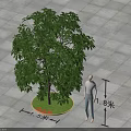 Large Tree With 1.5m Diameter 1.8m Height On Circular Lawn Square Tiled Ground 3d model
