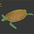 Realistic 3D Rendered Turtle With Orange Shell And Green Limbs On Dark Background 3d model