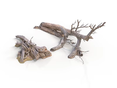 Natural Dry Plant Branches With Various Sizes And Twisted Shapes 3d model