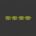 Four Green Bonsai Plants In Square Bases With Stones On Shiny Surface