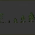 Green Plant 3D Models with Various Sizes Shapes Trees and Shrubs