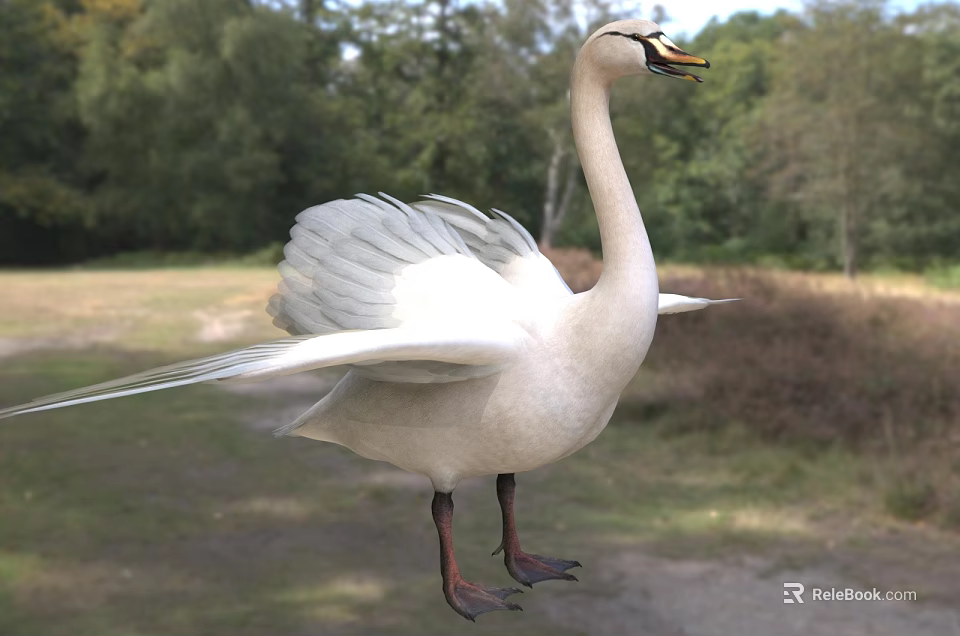 Graceful White Swan Flying With Spread Wings In Forest Background 3d model