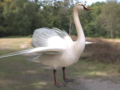 Graceful White Swan Flying With Spread Wings In Forest Background 3d model