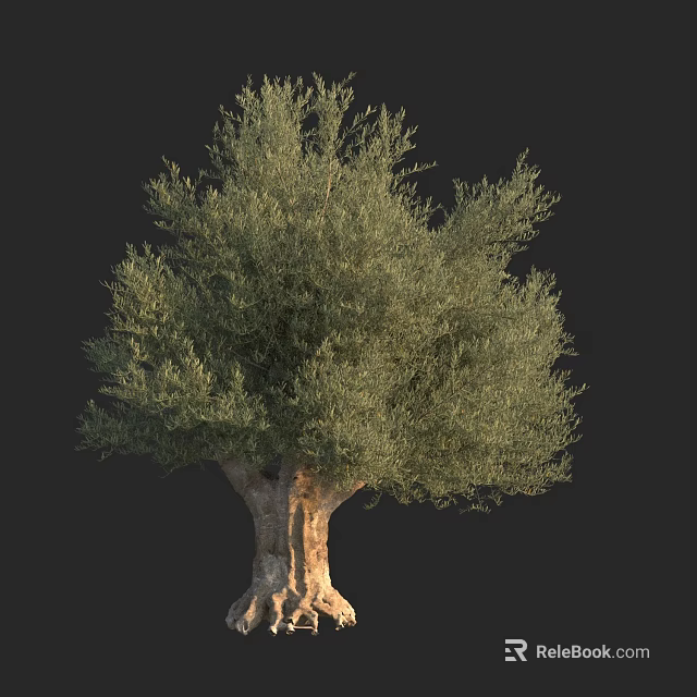 Tall Arbor With Thick Trunk And Lush Green Foliage In Natural Environment 3d model 