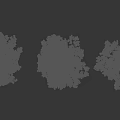Three Natural Arbor Trees With Lush Green Foliage And Distinct Trunk Shapes