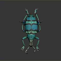 Green and Blue Patterned Beetle with Long Antennae and Detailed Legs on Dark Background
