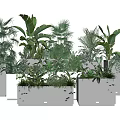 Modern Plant Combination With Various Green Plants In Gray Decorative Planters