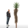 Joshua Tree Yucca Trees Landscape Plants Shrub Plants Green Planting Park Landscape Street Trees Urban Greening Man Figure Display 3d model