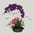 Bonsai Potted Plant With Purple White Pink Orchids And Green Leaves In Dark Pot
