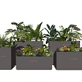 Modern Square Flower Pots with Green Foliage and Colorful Flowers for Garden Decoration