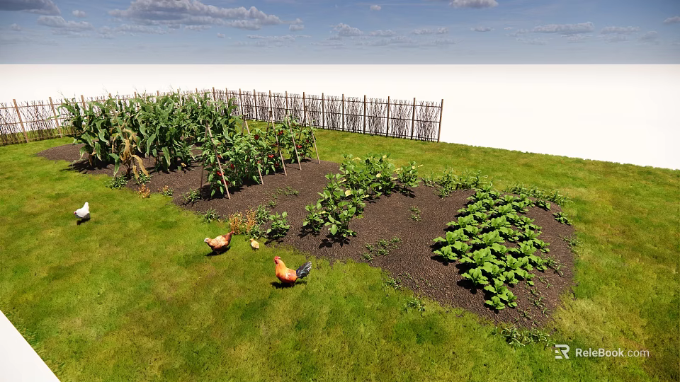 Lush Vegetable Garden With Chickens Green Plants And Wooden Fence 3d model 