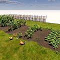 Lush Vegetable Garden With Chickens Green Plants And Wooden Fence