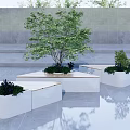 White Square Landscape Seats With Green Plants Grey Wall And Reflective Smooth Floor