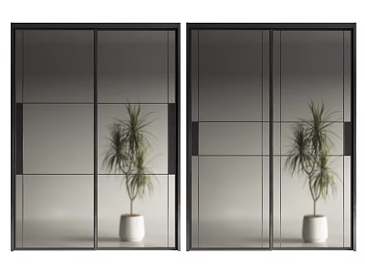 Modern Glass Sliding Doors With Black Frame In Interior Space And Potted Plant 3d model