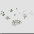 Various Green Plants Including Grass Shrubs and Leafy Sprouts Arranged on Gray Background