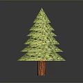 Green Layered Decorative Plant with Tree Like Structure and Textured Surface