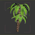 Realistic 3D Palm Trees With Lush Green Leaves And Textured Trunks