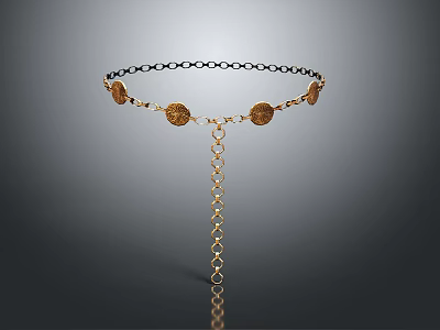 Chic Gold And Black Chain Necklace With Circular Pendants And Dangle Chain Design 3d model