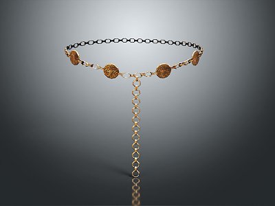 Modern Necklace Metal Necklace Tianzhu Necklace 3d model