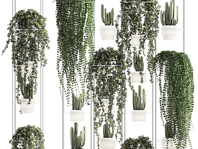 Indoor Hanging Basket Plants Decor With Variety Of Trailing Greenery And White Wall Planters 3d model