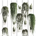 Indoor Hanging Basket Plants Decor With Variety Of Trailing Greenery And White Wall Planters