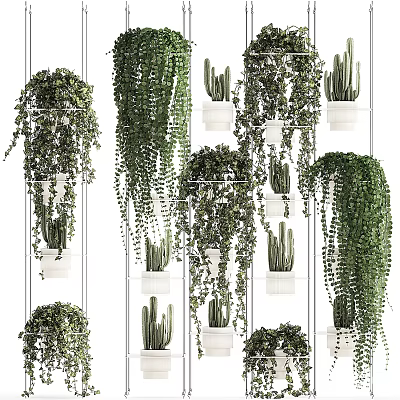 Indoor Hanging Basket Plants Decor With Variety Of Trailing Greenery And White Wall Planters 3d model