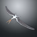 Detailed Prehistoric Pterosaur Flying Reptile Model Featuring Large Wings And Long Beak