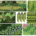 Living Wall Design With Various Green Plants And Creative Garden Styles 3d model