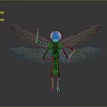 Detailed 3D Dragonfly Model With Blue Head Brown Body And Net Like Wings