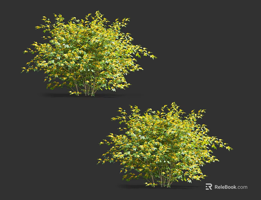 Two Green Shrubs 3D Models With Detailed Foliage On Dark Background 3d model