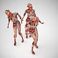 Three Game Movie Zombie Characters With Bloodstained Tattered Skin Walking Running 3d model