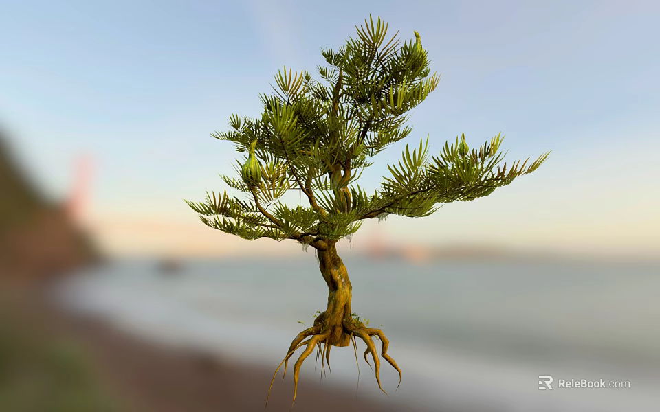 Lush Green Arbor with Exposed Roots Against Scenic Coastal Sunset Background 3d model 