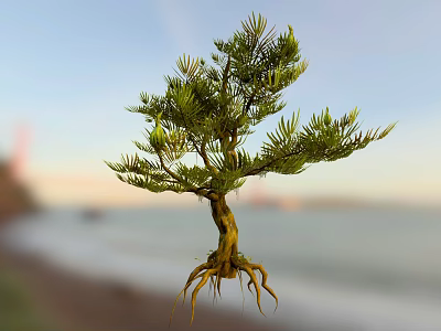Lush Green Arbor with Exposed Roots Against Scenic Coastal Sunset Background 3d model