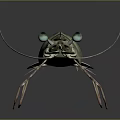 Detailed 3D Rendered Shrimp Featuring Green Brown Stripes Long Antennae Transparent Body On Black Background
