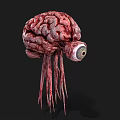 Red Brain Like Creature With Large Eye And Tentacles On Black Background 3d model