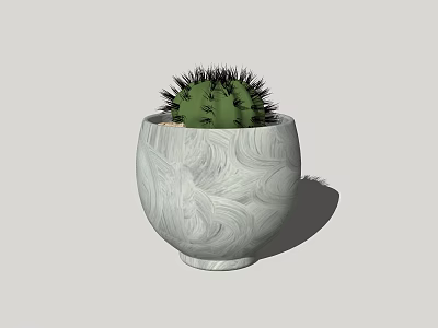 Green Spiky Succulent Plant in White Marble Patterned Ceramic Pot 3d model
