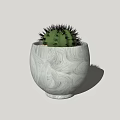 Green Spiky Succulent Plant in White Marble Patterned Ceramic Pot