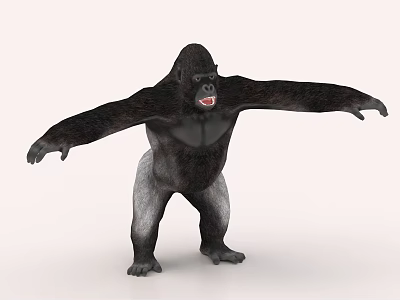 Gorilla 3D Model In Standing Pose With Outstretched Arms On Light Background 3d model