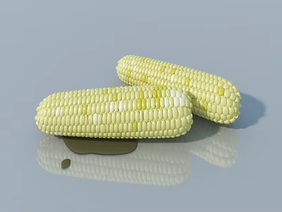 Fresh Yellow And White Corn Cobs With Oil Stain On Gray Reflective Surface 3d model
