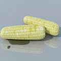 Fresh Yellow And White Corn Cobs With Oil Stain On Gray Reflective Surface