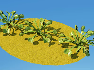 Green Venus Flytraps Growing on Yellow Sandy Ground Against Blue Sky 3d model