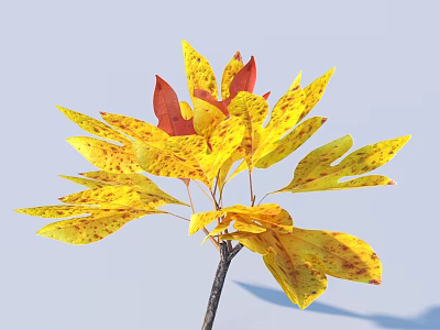 Yellow and Red Spotted Leaves on Plant Branch with Light Blue Background 3d model