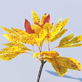 Yellow and Red Spotted Leaves on Plant Branch with Light Blue Background