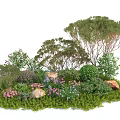 Garden Landscape Design With Various Trees Shrubs Rocks And Colorful Flowers