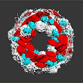 3D Organ Structure With Red Blue White Fibrous Hair Like Components
